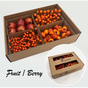Zijde Fruit Box Oranje Mix