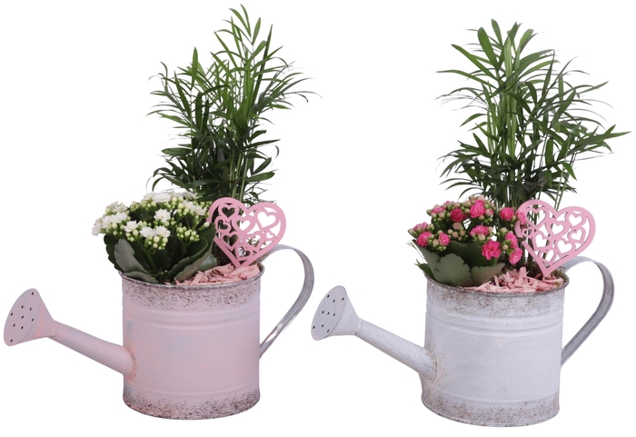 <h4>Mothersday Arr. Indoor Zinc WateringCan Vintage Ø36cm 2PP</h4>