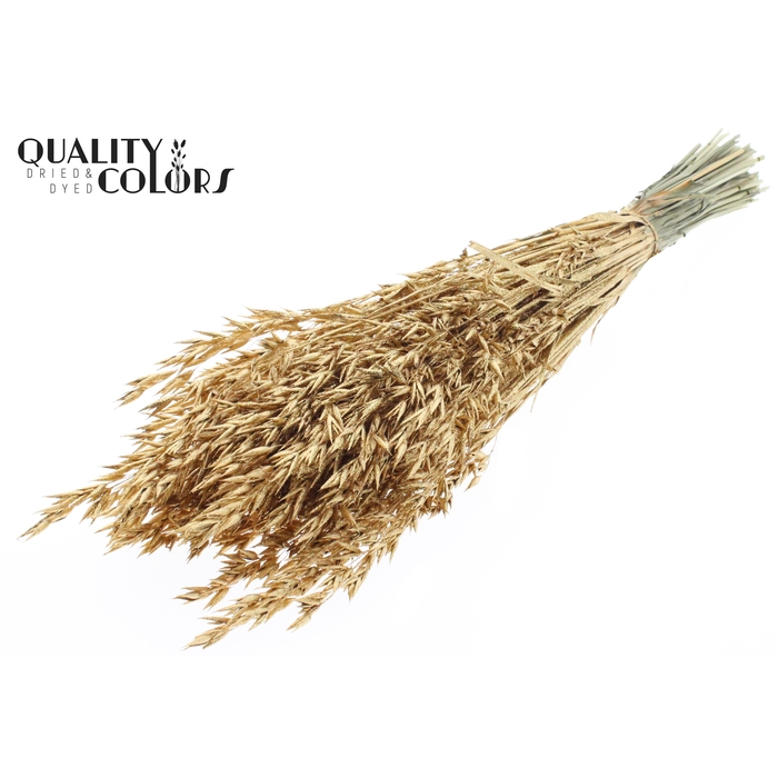 <h4>Avena per bunch Antique Gold + Glitter</h4>