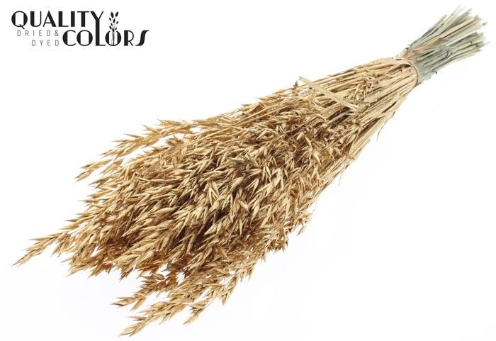 Avena per bunch Antique Gold + Glitter