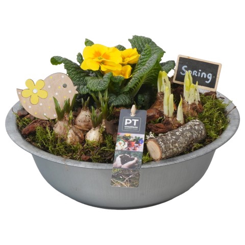 <h4>PTBM3014 Arrangementen Tuinplanten</h4>