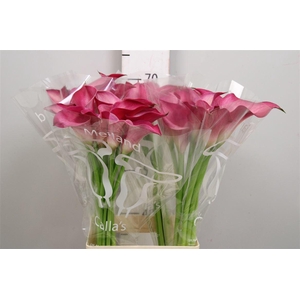 Zant Pink Jewel