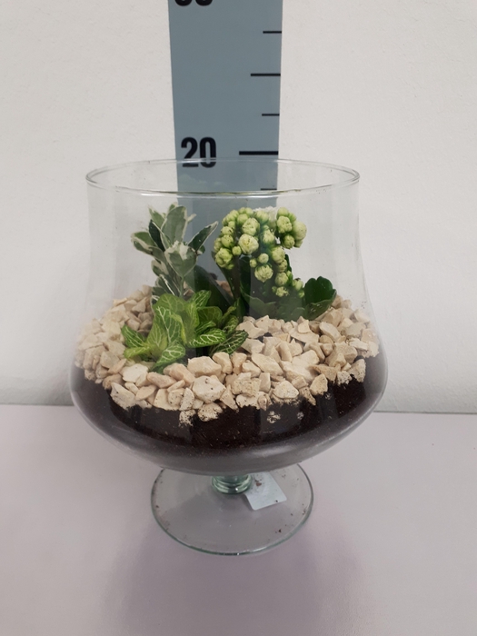 <h4>Cognac klein</h4>