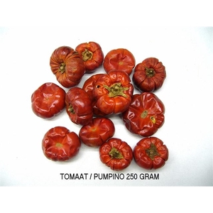 PUMPINO/TOMAAT 250 GRAM