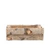 Nature Birch Rectangle 31x14x11cm