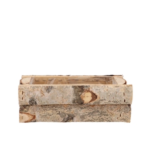 Nature Birch Rectangle 31x14x11cm