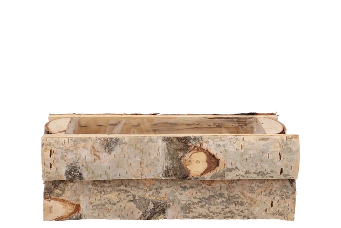 <h4>Nature Birch Rectangle 31x14x11cm</h4>