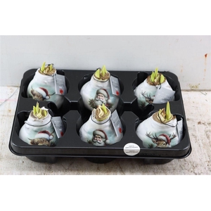 Wax Hipp Crafts Santa En Friends Mix