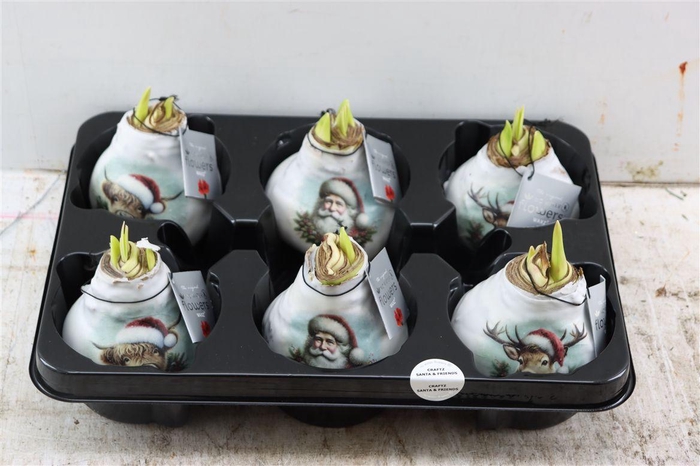 <h4>Wax Hipp Crafts Santa En Friends Mix</h4>