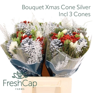 Bouquet Xmas Cone Silver Incl 3 Cones