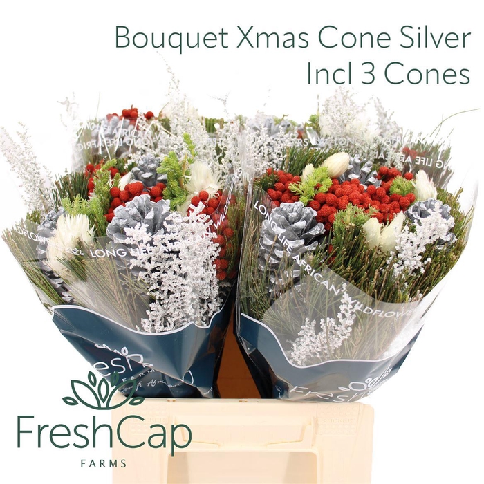 <h4>Bouquet Xmas Cone Silver Incl 3 Cones</h4>