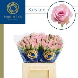 R Gr Babyface