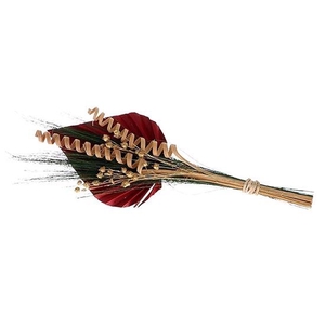 Bouquet Cane Spring Ass L30