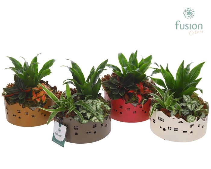 <h4>Zinken schaal Huisjes Small met Kerst arrangement</h4>