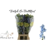 Delphinium En Ballkleid