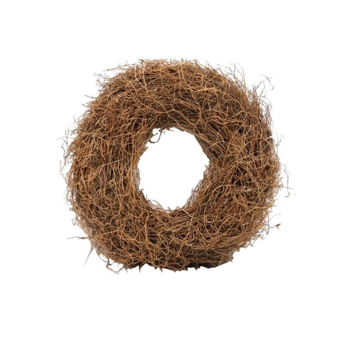 <h4>WREATH FERN ROOT D48</h4>