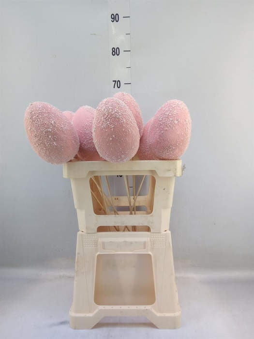 <h4>Decoratieve materialen   ...H%</h4>