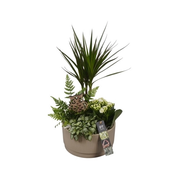 <h4>PTHI5585 Arrangement Herfst Indoor in Keramiek schaal</h4>