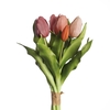 AF Tulip Bundle x7 L31cm Mix B
