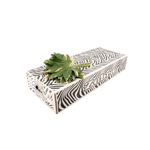 Aralia Variegated Small