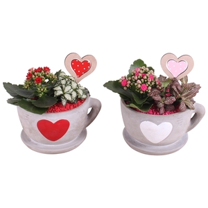 Valentine Arr. Indoor Ceramic Cup Hearts Red/White Ø19cm 2PP