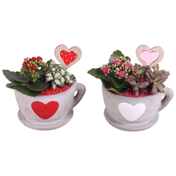 <h4>Valentine Arr. Indoor Ceramic Cup Hearts Red/White Ø19cm 2PP</h4>