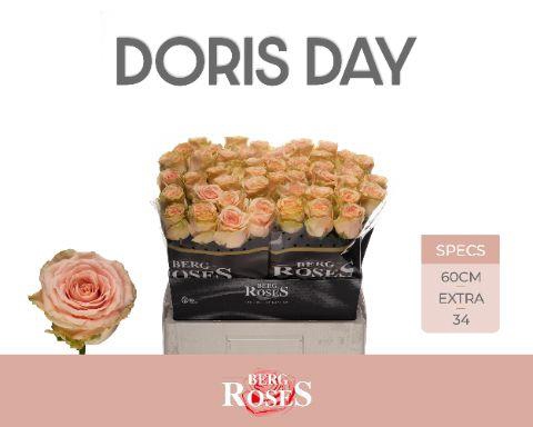 <h4>R GR DORIS DAY</h4>