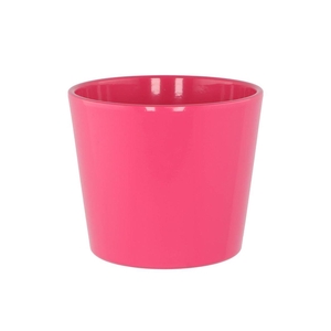 Ceramic Rose Shiny Pot 15cm Nm