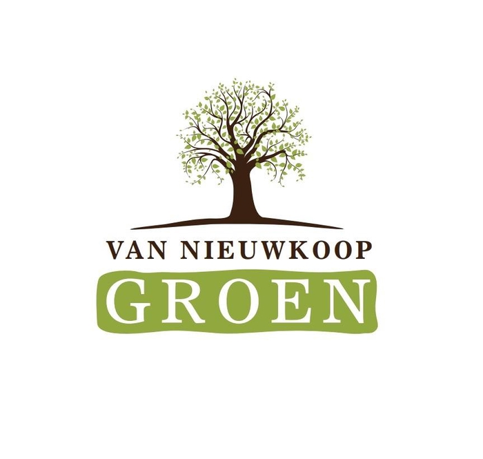 <h4>Buxus sempervirens Blok 60</h4>