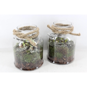 arr4 Bollenmix MB - Glas venice 285/5