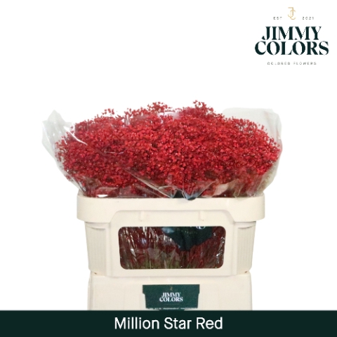 <h4>Gyps Million Star L70 Red</h4>
