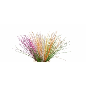 Berk 70cm Voorjaar Mix Bunch