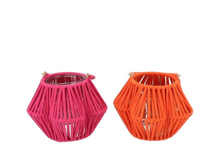 <h4>Cruz Orange Fuchsia Lantern Flower Ass 11x20x14cm</h4>