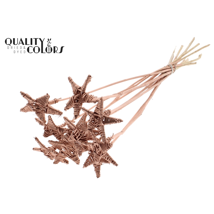 <h4>Lata Star on stem Copper</h4>