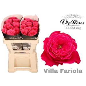 R GR VILLA FARIOLA