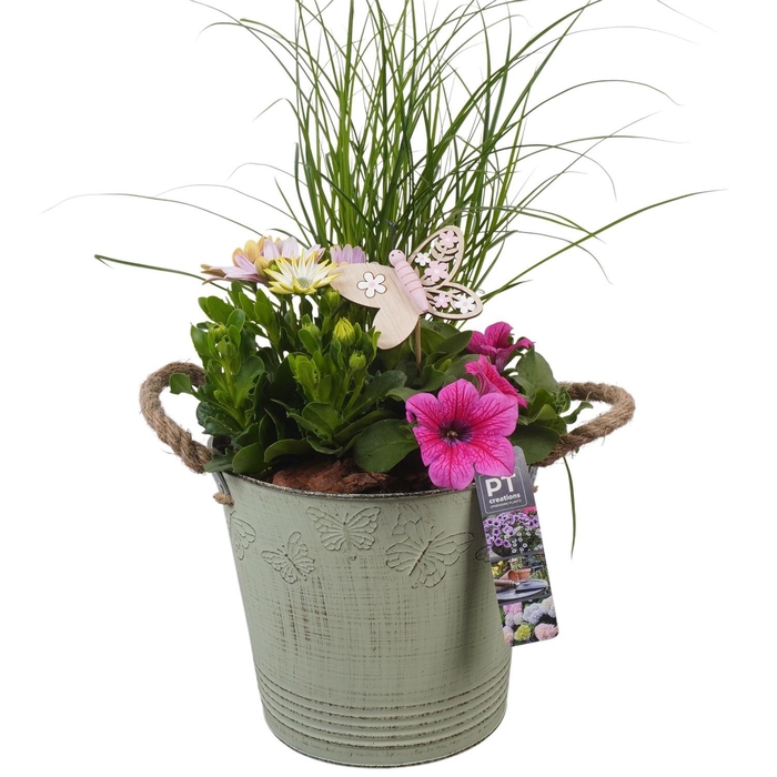<h4>PTPP6828 Arrangement Patio in metalen bak</h4>