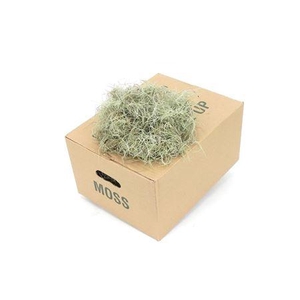 Mos Tillandsia Box Fine