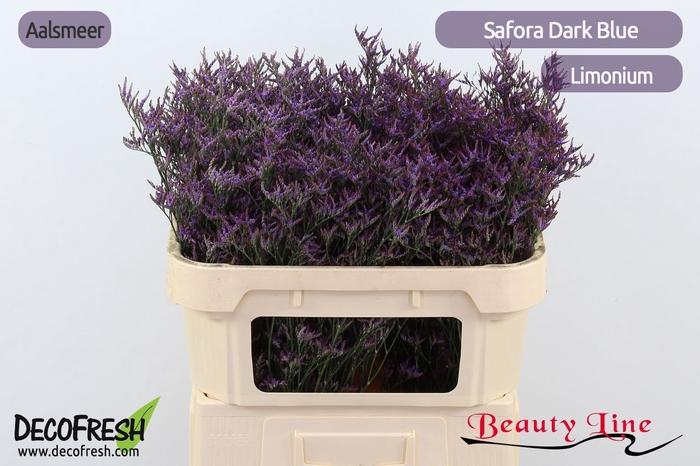 <h4>LIM SAF DARK BLUE</h4>