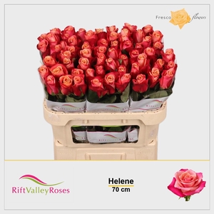 R GR HELENE