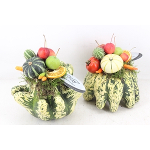 arr4 Sierfruit GB - Pompoen finger x4