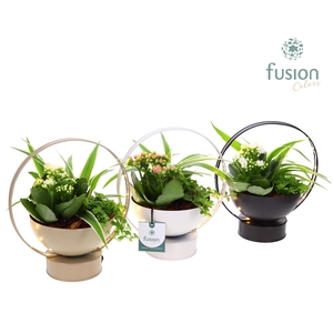 LED planter zink schaal met Arrangement