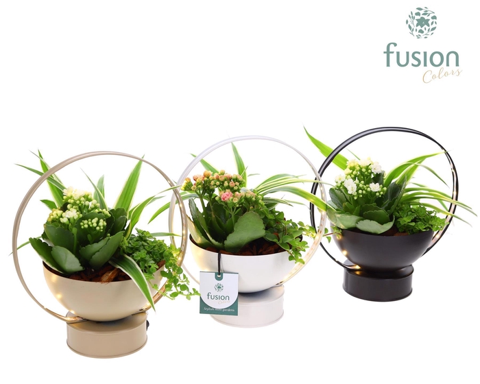 <h4>LED planter zink schaal met Arrangement</h4>