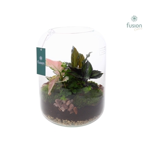 Green Bottle Isabella XLarge met groene planten