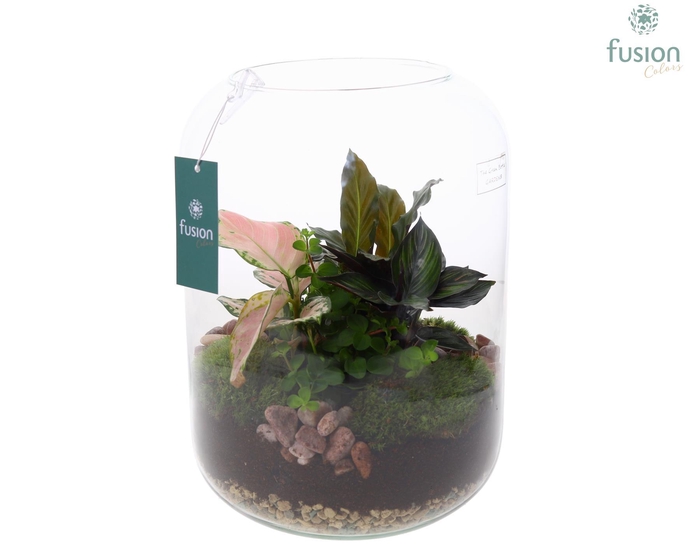 <h4>Green Bottle Isabella XLarge met groene planten</h4>