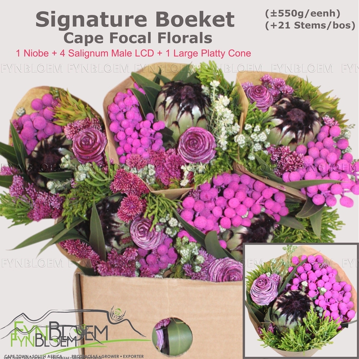 <h4>PROTEA PER BOS</h4>