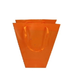 Bags Clear 24/11*26cm