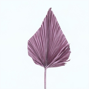Dried Palm Spear Metallic Pink