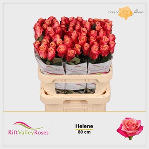 R GR HELENE
