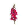 BOCA DE LEAO POTOMAC PINK EARLY 080