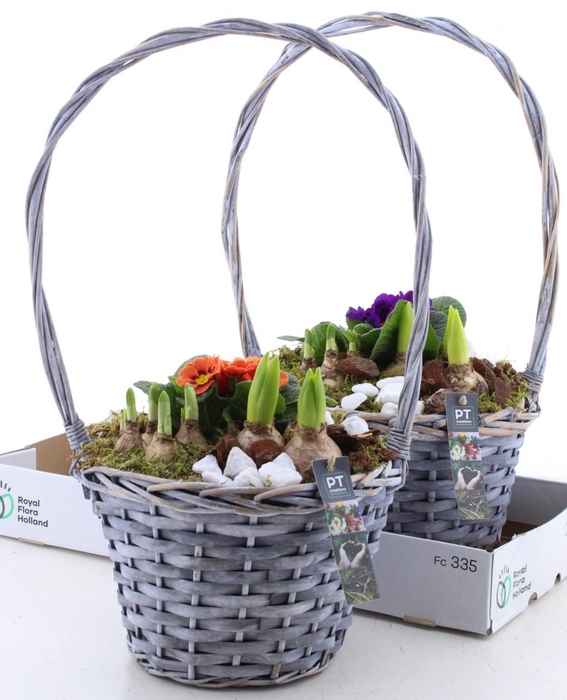 <h4>ARR PL IN SCHAAL</h4>